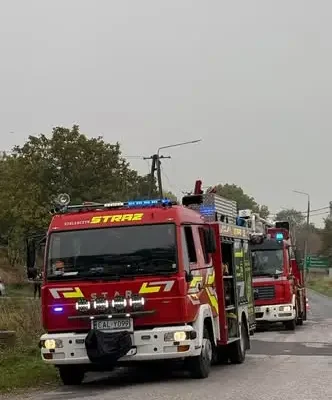 Konar drzewa zwisał nad drogą na trasie Koneck – Spoczynek. Działania strażaków