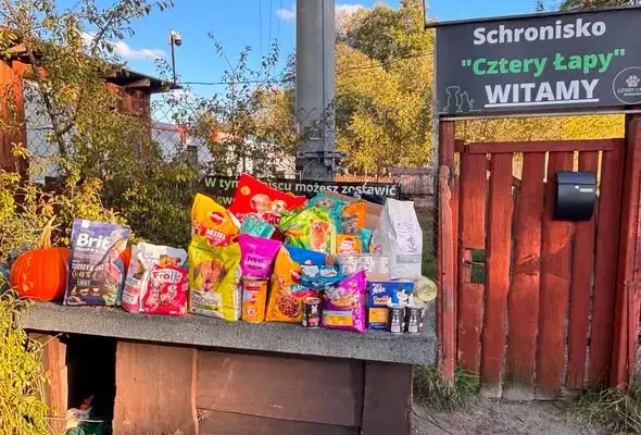 Dzień Kundelka w Szkole Podstawowej nr 3 w Ciechocinku – uczniowie wsparli schronisko „Cztery Łapy”