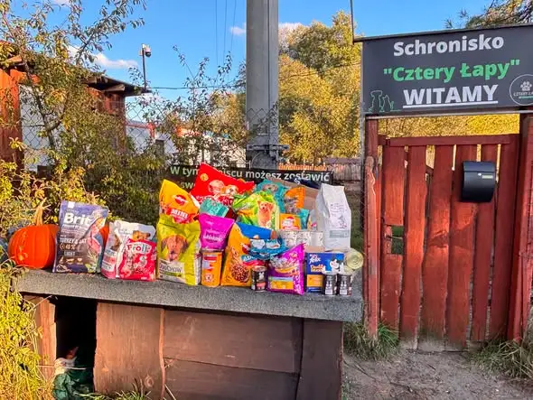 Dzień Kundelka w Szkole Podstawowej nr 3 w Ciechocinku – uczniowie wsparli schronisko „Cztery Łapy”