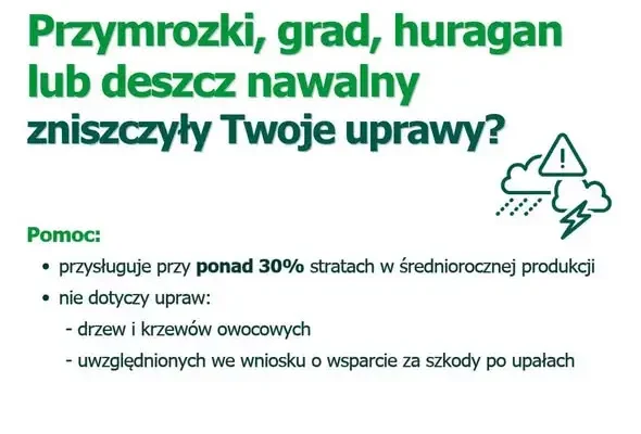 Nowe nabory dla rolników: rekompensaty za szkody i wsparcie hodowli. Wnioski do 16 listopada