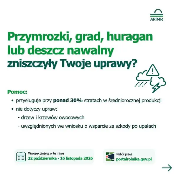 Nowe nabory dla rolników: rekompensaty za szkody i wsparcie hodowli. Wnioski do 16 listopada